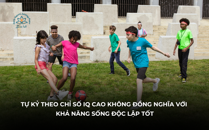 Tự kỷ theo chỉ số IQ và những hạn chế đi kèm
