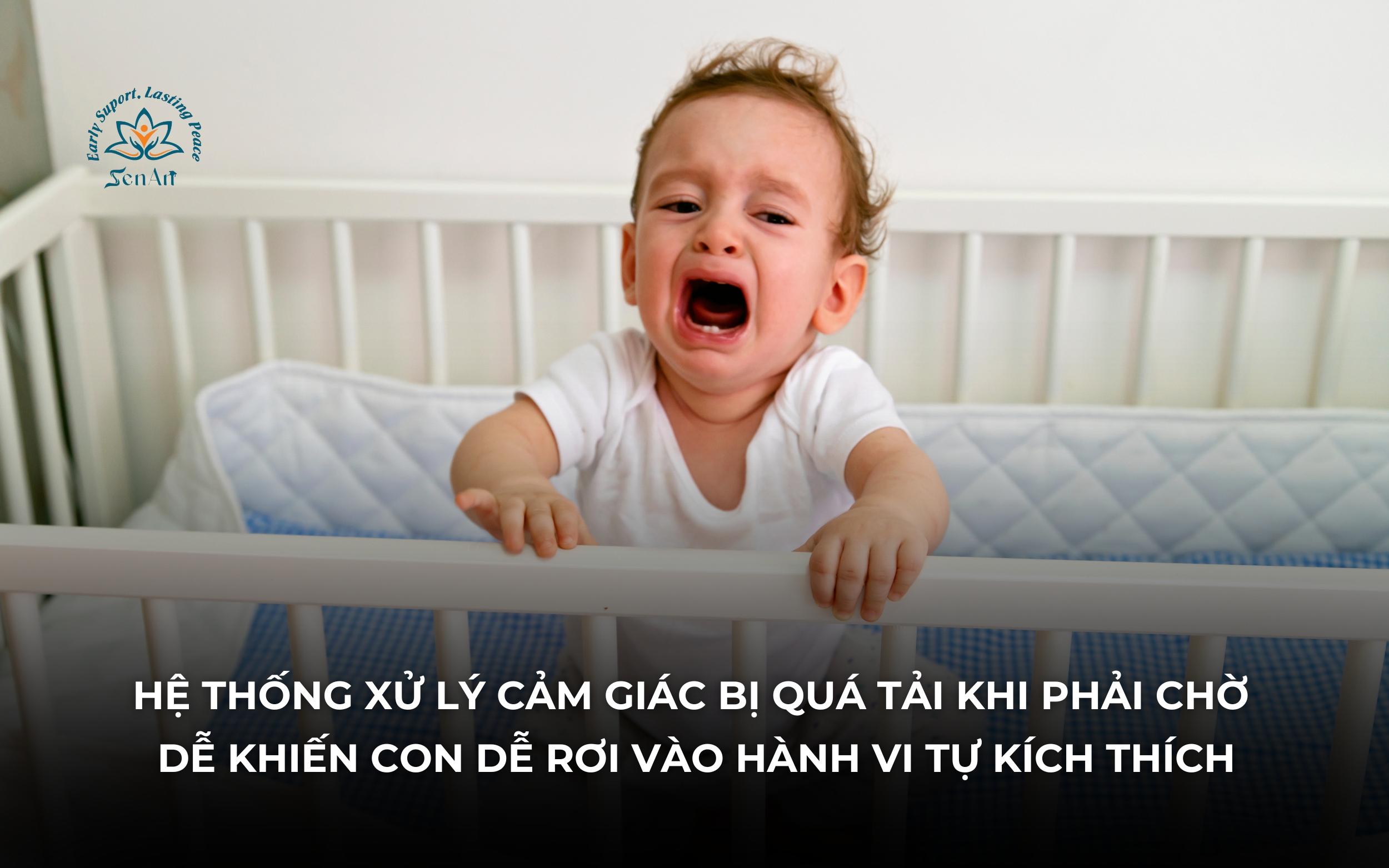 he-thong-xu-ly-cam-giac