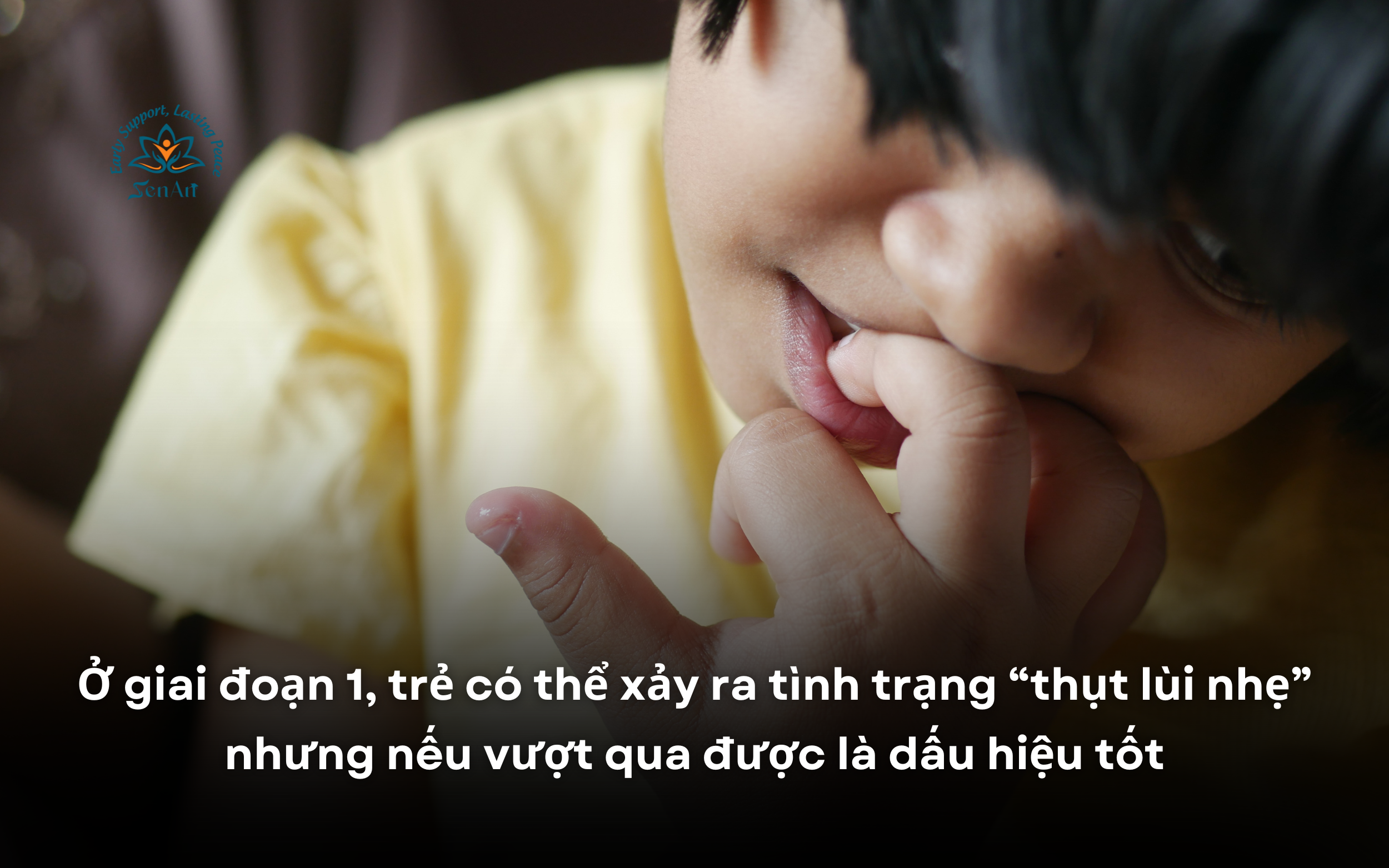 giai-doan-1-khi-dung-can-thiep-shadow-teacher